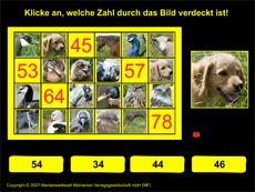 Ausschnitte-Hundertertafel-interaktiv-4.pdf